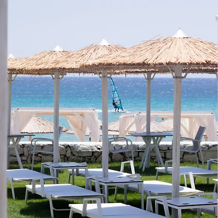 Amaryllis Хриси-Акти