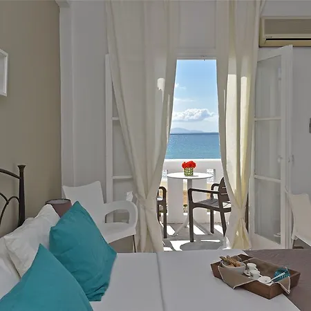 Amaryllis Хриси-Акти