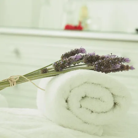 Amaryllis Hotel 3*
