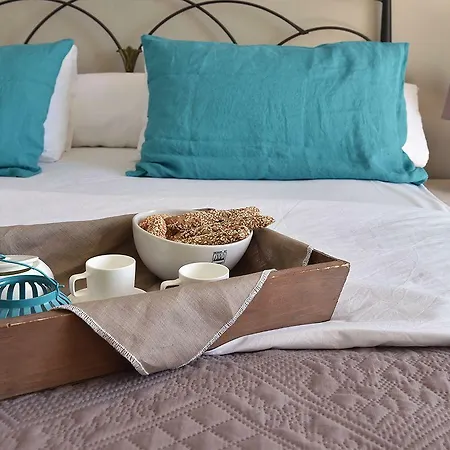 Amaryllis Хриси-Акти